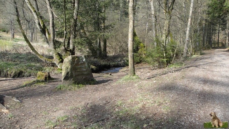 Ritterstein Nr. 279-5 Hier stand das Forsthaus Mittlere Isenach Matternshuette.JPG - Ritterstein Nr.279 Hier stand das Forsthaus Mittlere Isenach Matternshuette